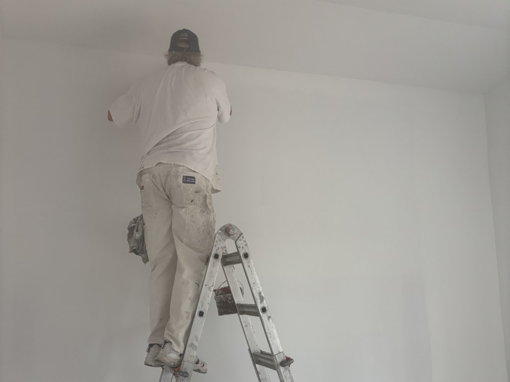 A painter on a stepladder working along the top of a freshly painted interior wall.